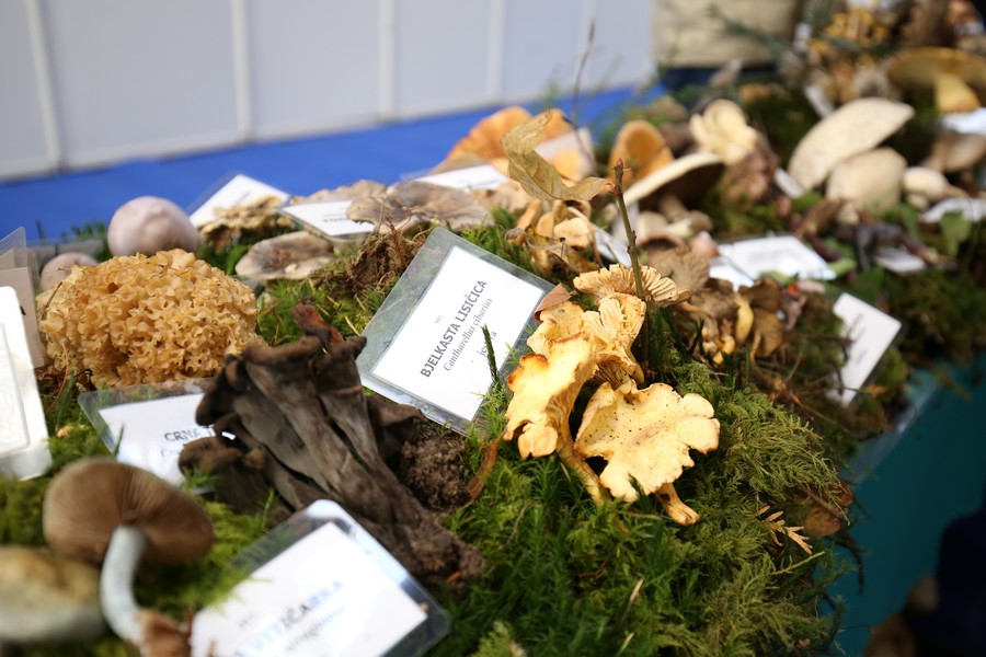 U Nedelišću otvorena sajamska priredba ‘Mesap jesen 2018.’