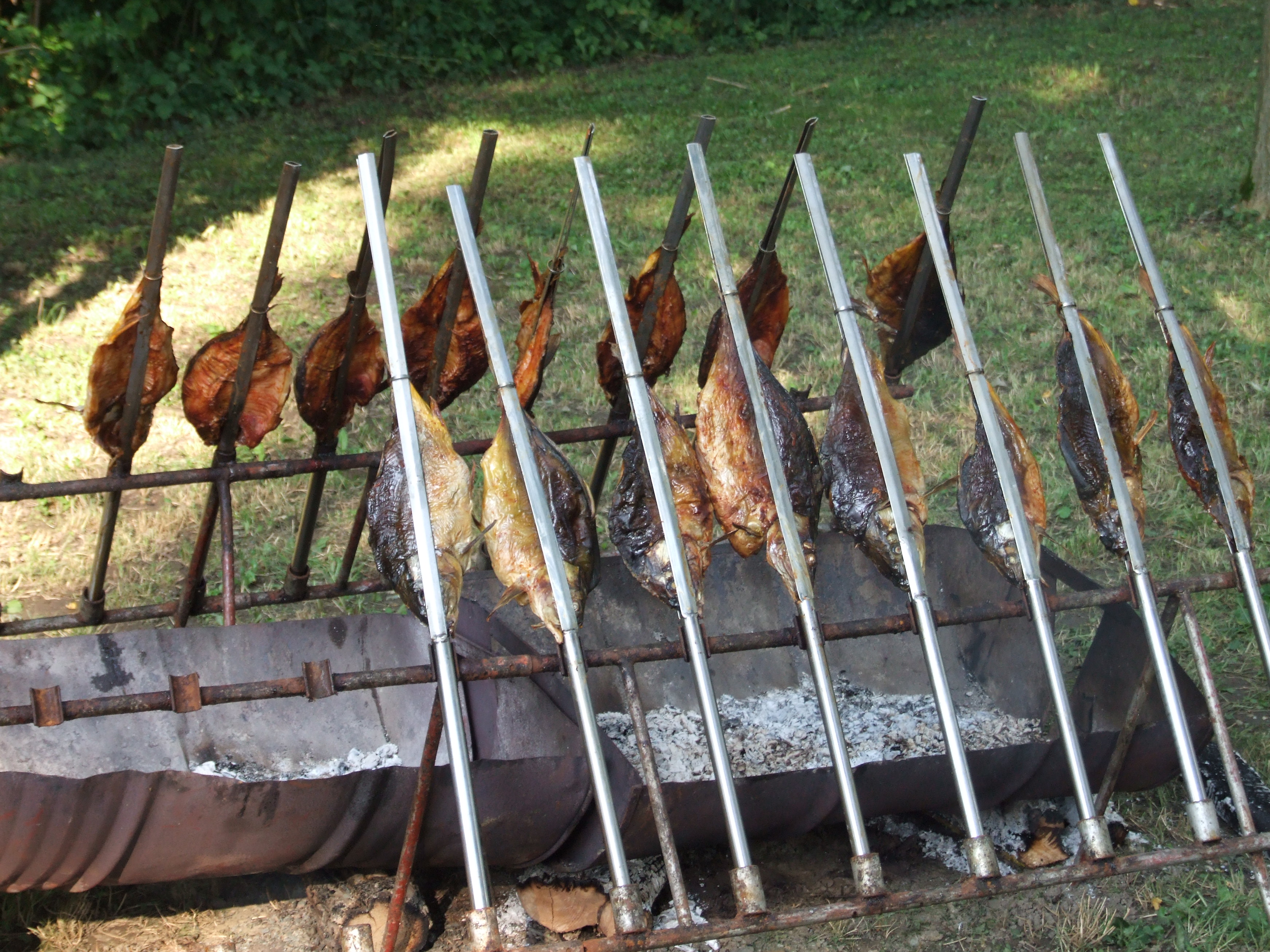 sarannarasljama1473979