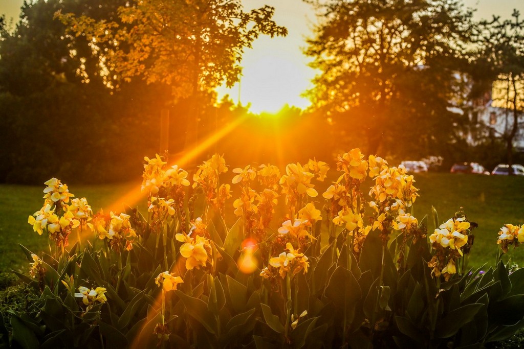 Šetnja gradom uz čarobne efekte zlatnog sata