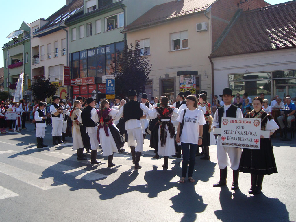 djaskovo072015b159580