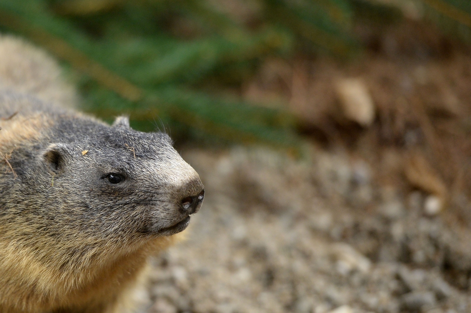 23. Sajam priroda, lov, ribolov, turizam