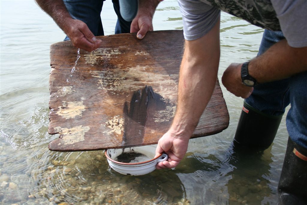 Dani zlata i starih zanata u Donjem Vidovcu u Hotelu Golf