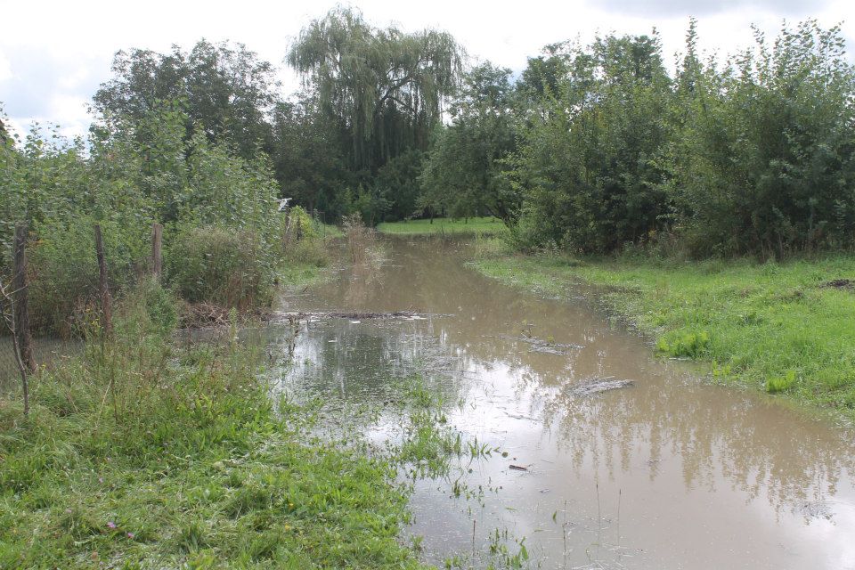 1066507382837381386426480102062