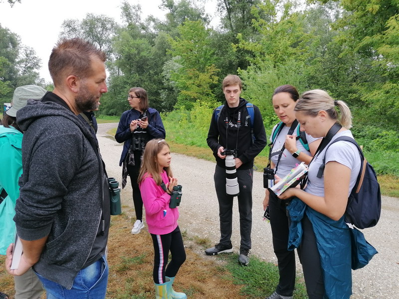 MEĐIMURSKA PRIRODA Ptičari tijekom dva sata opazili više od dvadeset ptičjih vrsta