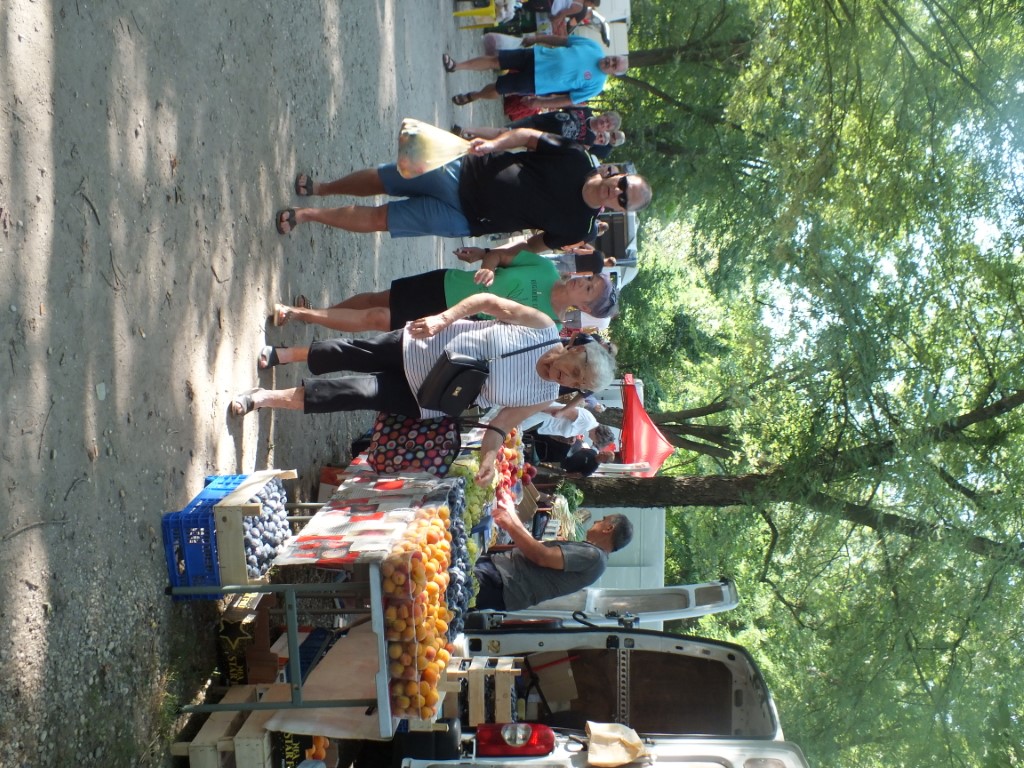 Image 5810911 (auto)