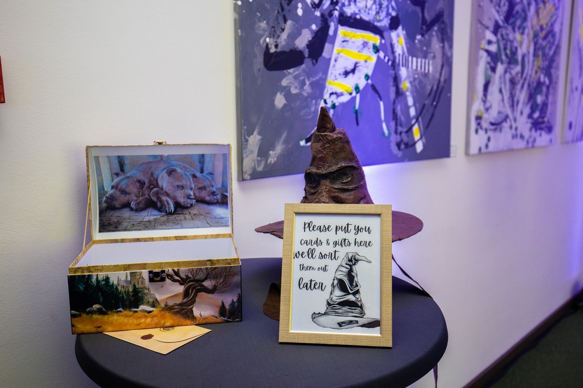 Harry Potter vječanje Harry Potter vječanje