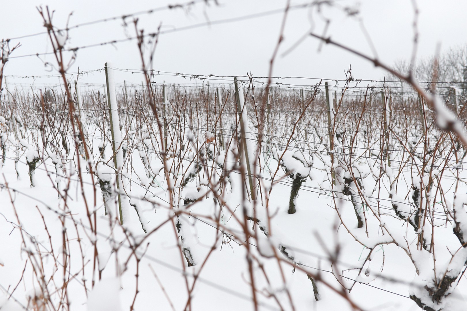 Mađerkin breg pokriven snijegom
