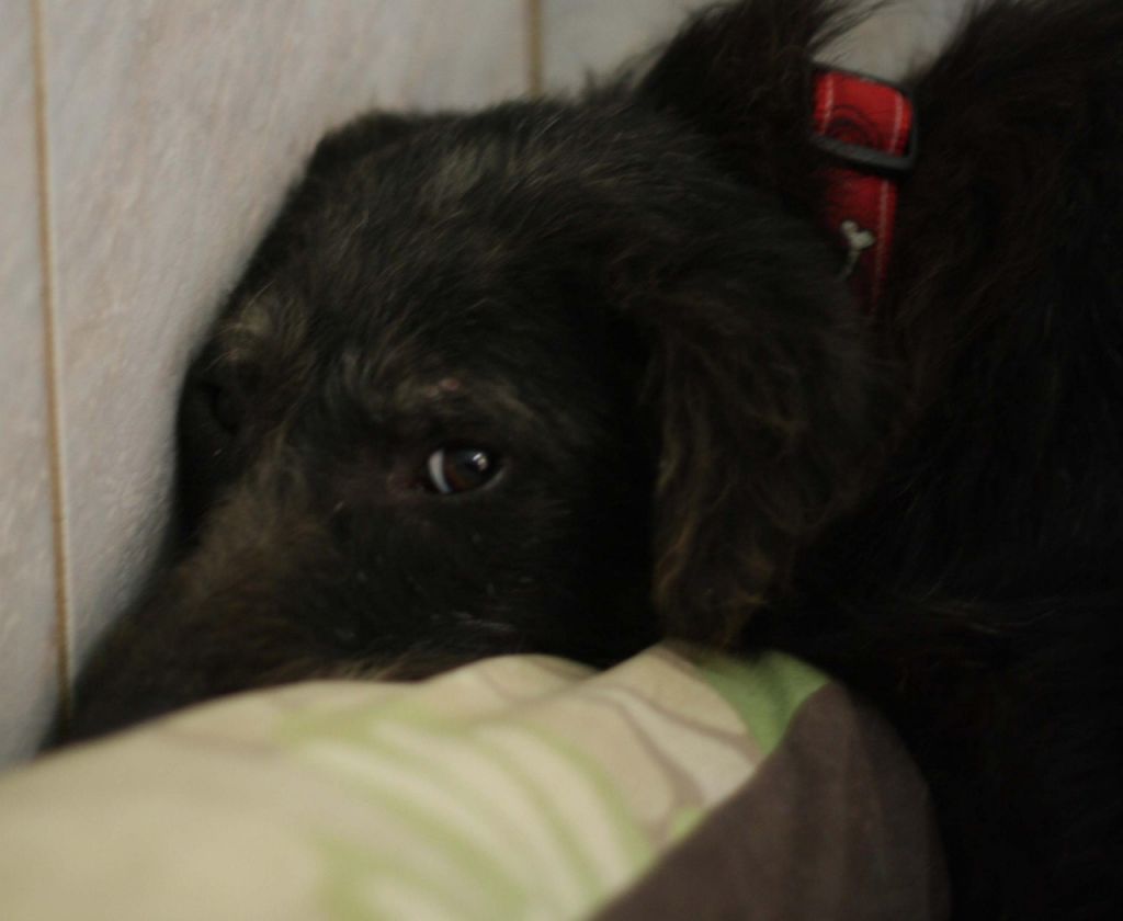 c4a7dc88c6fe904eec0f19bcae49e70