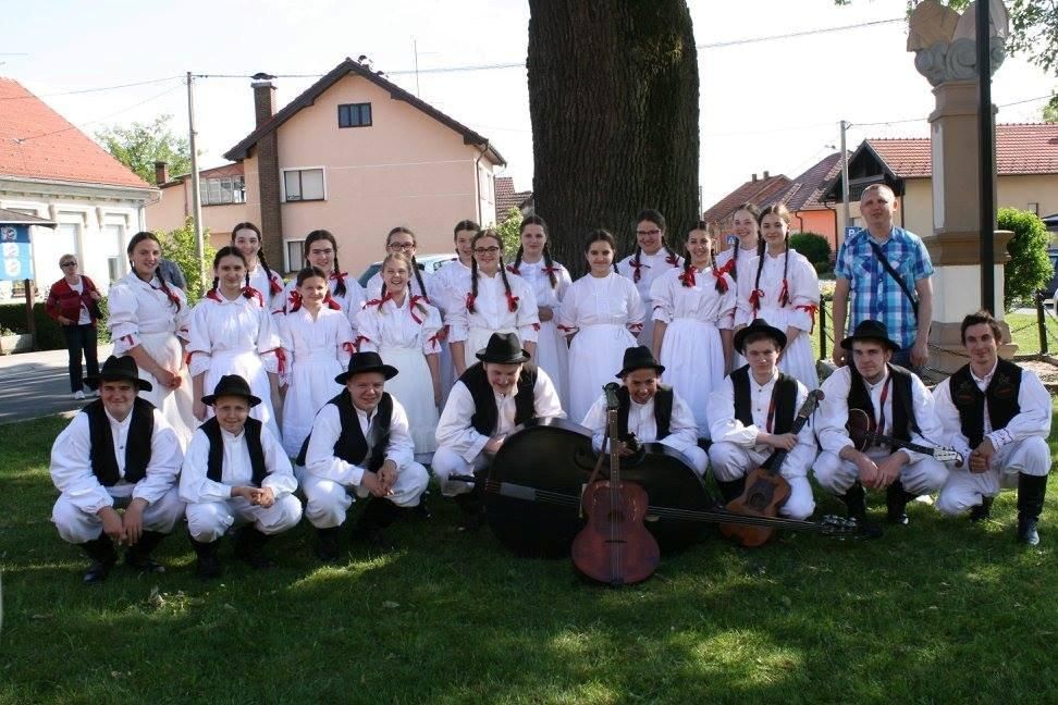 kuddonjividovec11277989