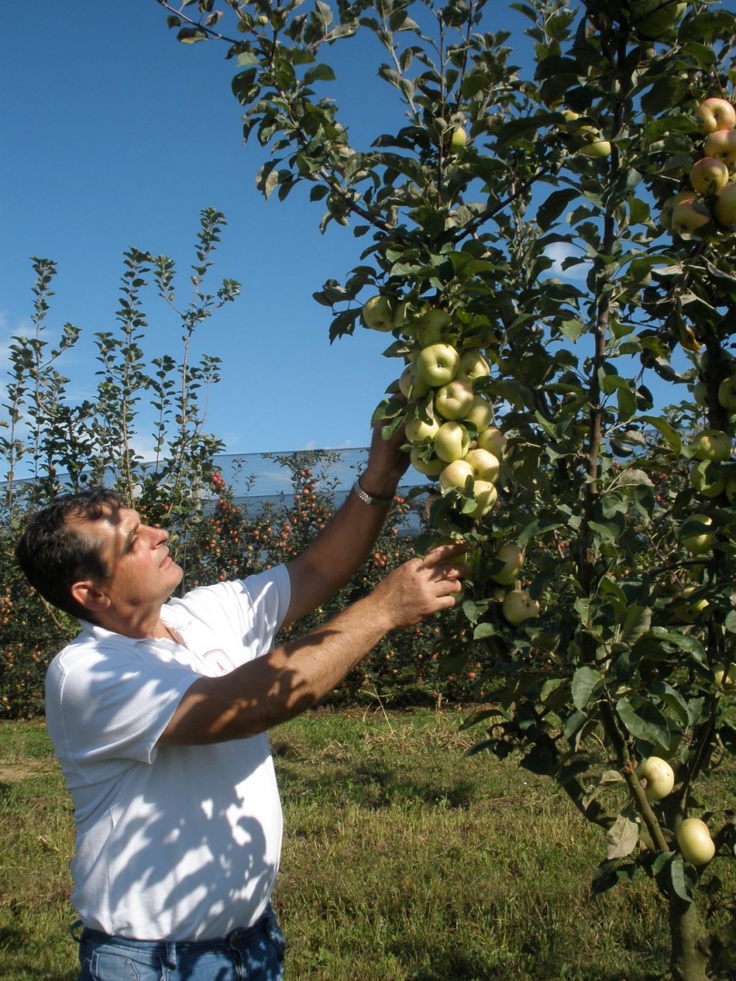 juricafotke329820292