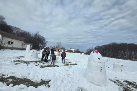 Snjegović Lopatinec