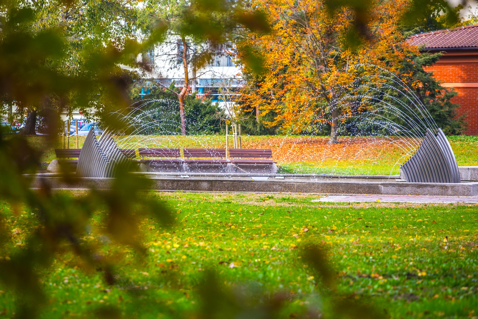 Čarobna jesen: Naša Miroslava Novak prošetala je čakovečkim parkom i snimila šarenilo jesenskih boja. Predivno, zar ne? (y) :-)