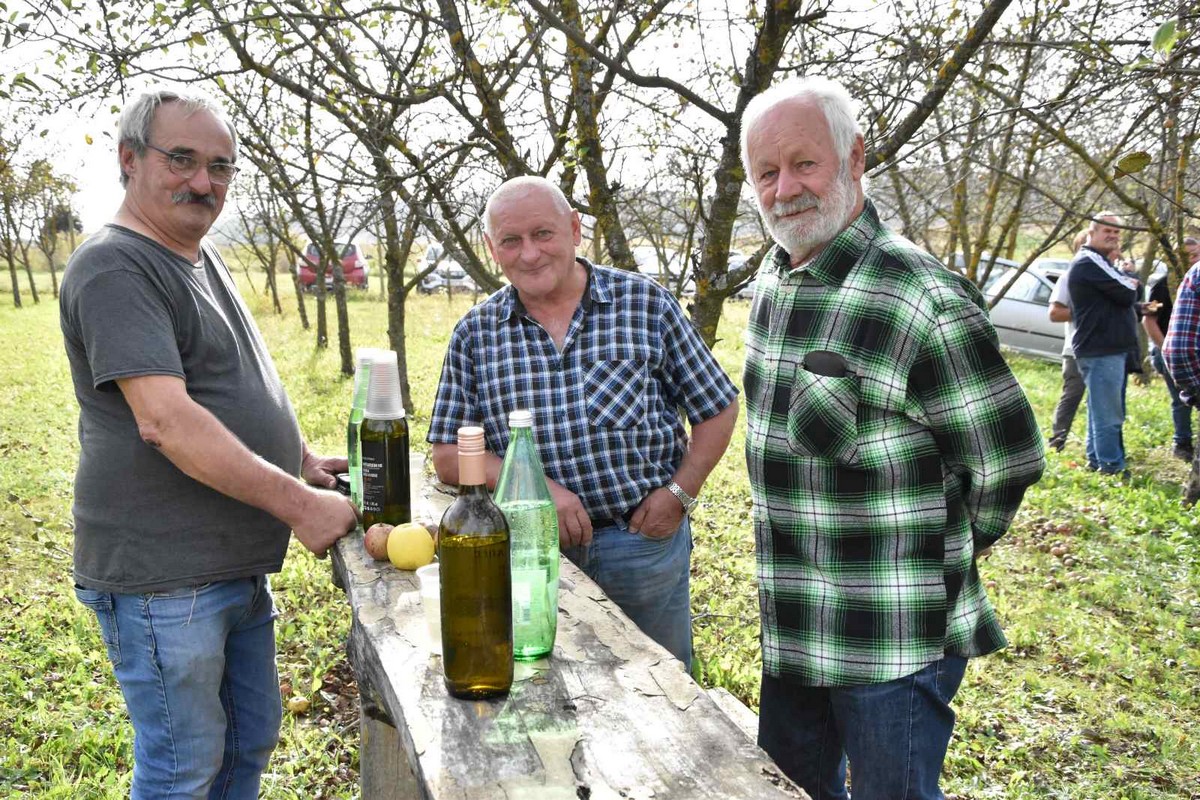 FOTO Ukusne i zdrave jabuke, zakuska i zabavni program za posjetitelje Izložbe starih i novijih sorti jabuka FOTO Ukusne i zdrave jabuke, zakuska i zabavni program za posjetitelje Izložbe starih i novijih sorti jabuka