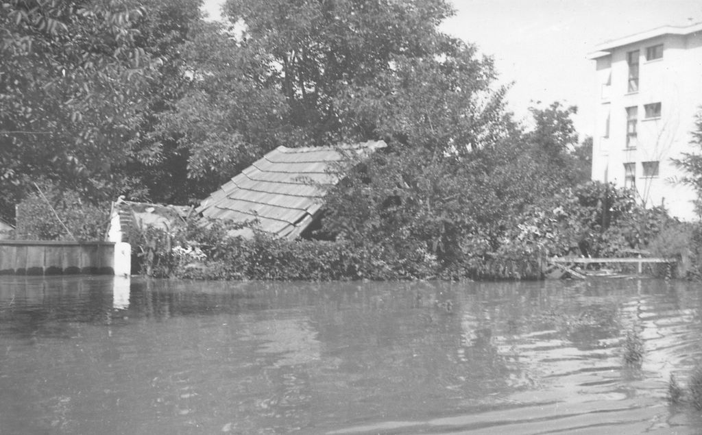 mini22kporusenakucaudraksarovoj