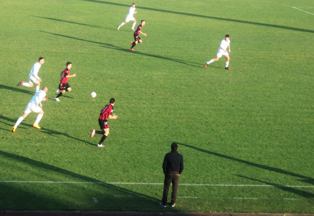 dsc03356323635