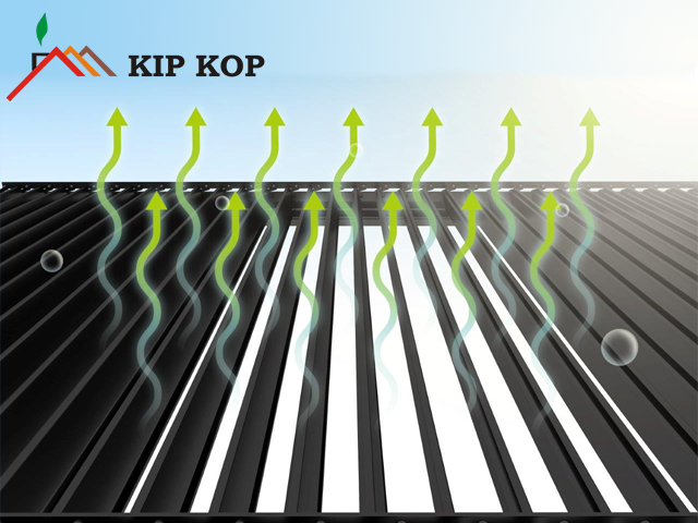 Image 5740849 (auto)