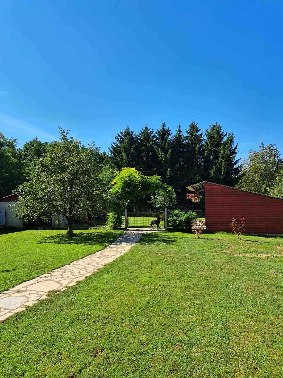 OBITELJ MIKAC IZ MIHOVLJANA Od 2014. godine imaju profinjenu uzgajivačnicu Rottweilera – ‘psi su naša najveća ljubav’ OBITELJ MIKAC IZ MIHOVLJANA Od 2014. godine imaju profinjenu uzgajivačnicu Rottweilera – ‘psi su naša najveća ljubav’