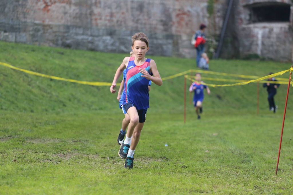 2271176310213284886413645210251