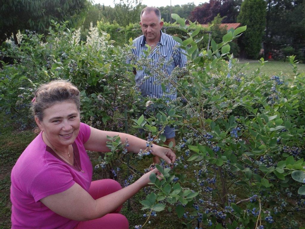 Biljno carstvo Vanje i Alena u Šenkovcu: Njihov vrt ‘Četiri godišnja doba’ mami poglede