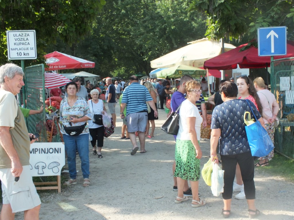 Image 5810931 (auto)