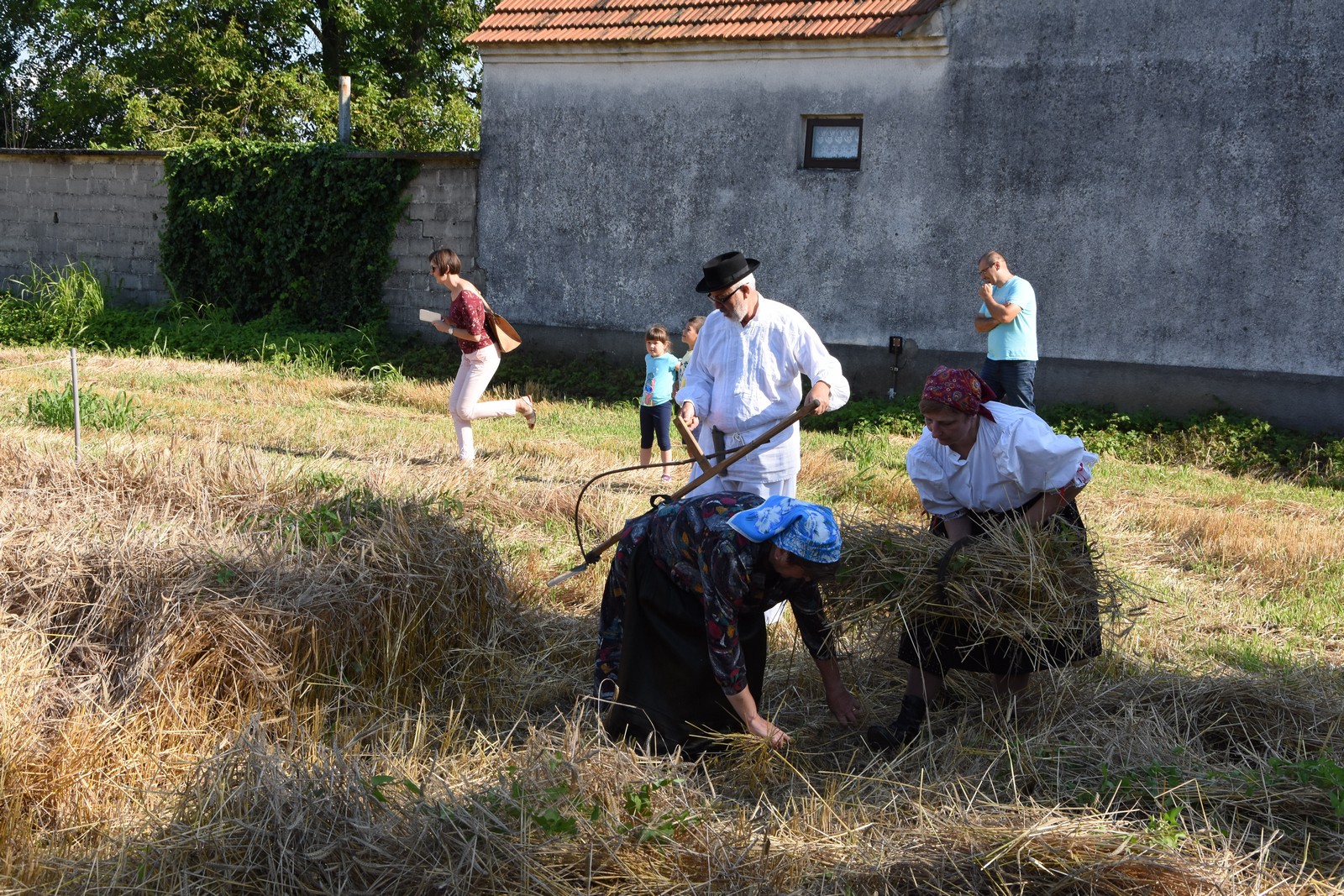 Mamičina žetva u Pušćinama