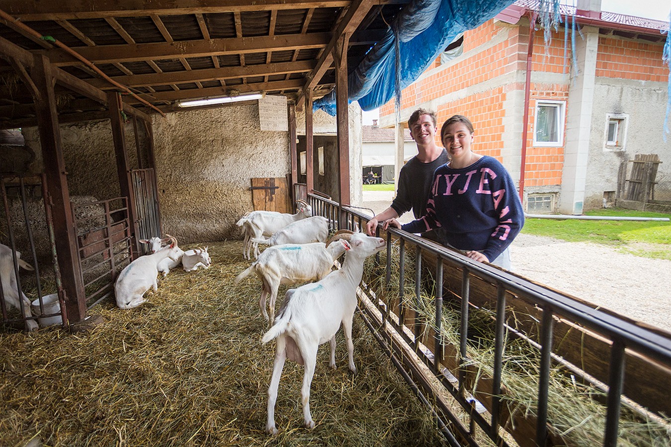 Dan otvorenih vrata OPG-a Zadravec u Oporovcu