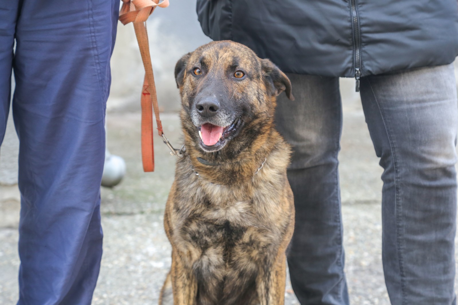 Humanitarno fotkanje s ljubimcima za pomoć azilu Prijatelji Čakovec