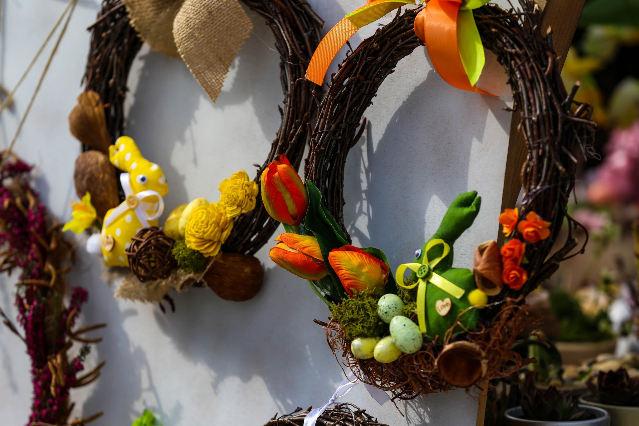 Udruga za sindrom Down Međimurske županije u centru Čakovca