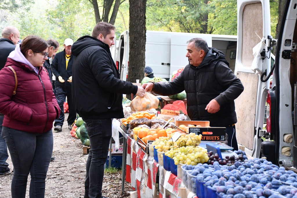 FOTO S dolaskom hladnijih dana povećan interes za kupnju drva za ogrjev