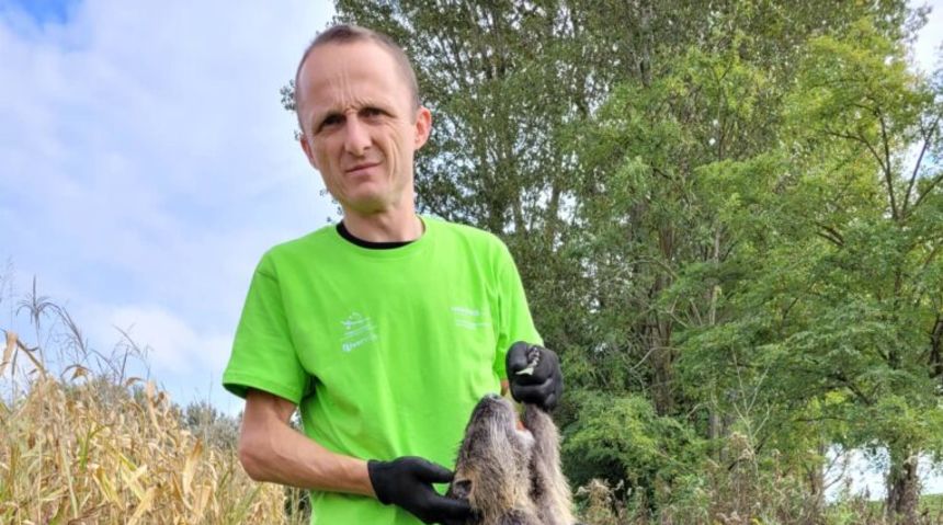 BARSKA NUTRIJA Jedna od 100 najinvazivnijih vrsta životinja u svijetu nalazi se i u Međimurju BARSKA NUTRIJA Jedna od 100 najinvazivnijih vrsta životinja u svijetu nalazi se i u Međimurju