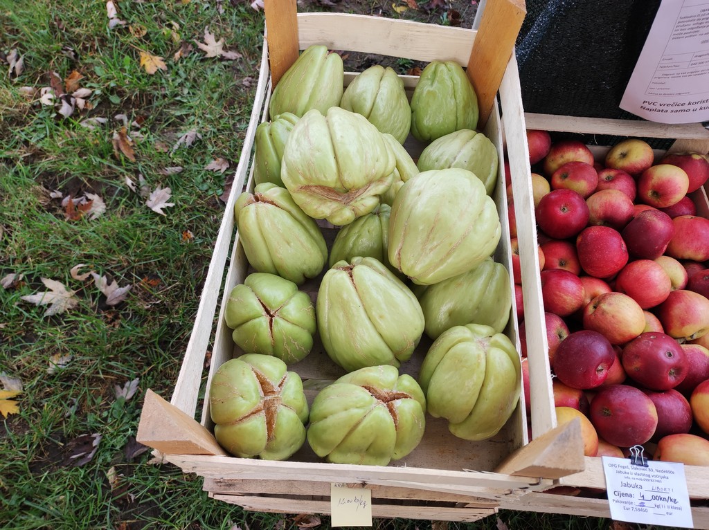 SAJAM SRIJEDOM Jeste li već probali meksički krastavac ili čajot?
