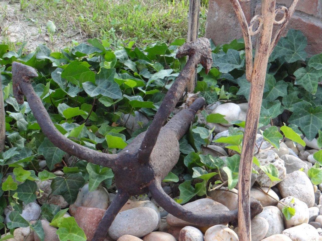 Biljno carstvo Vanje i Alena u Šenkovcu: Njihov vrt ‘Četiri godišnja doba’ mami poglede