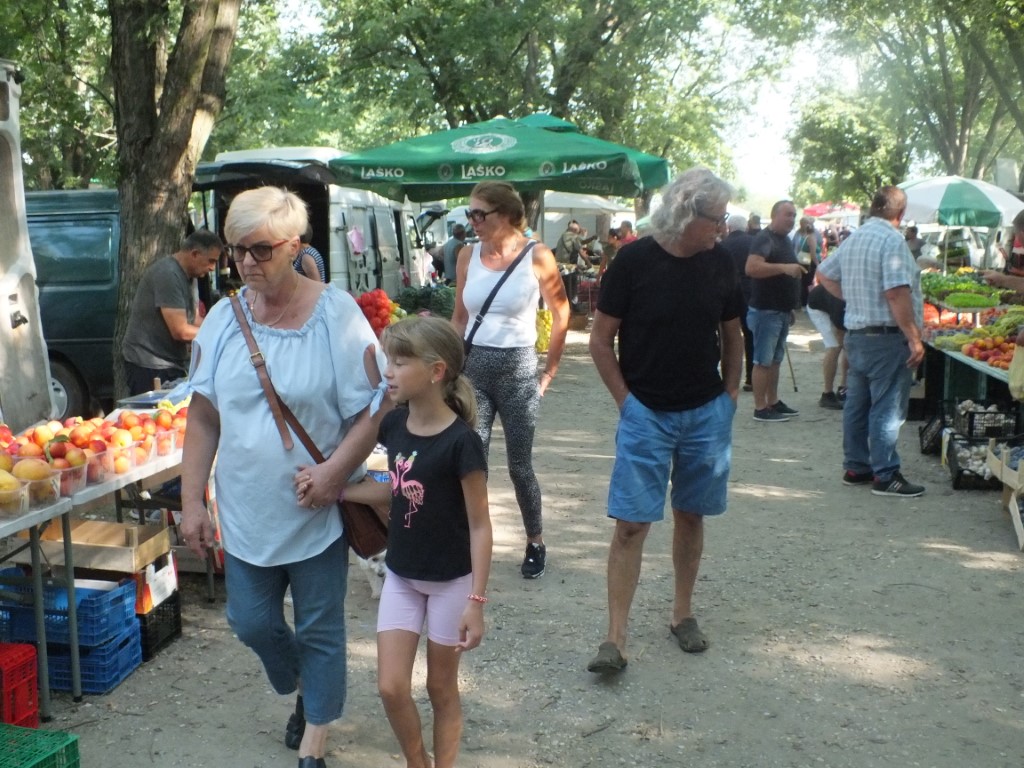 Image 5810917 (auto)