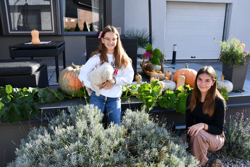 IMPOZANTNE BUNDEVE Jesenska čarolija na imanju obitelji Dodlek u Belici