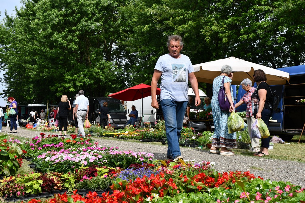 FOTO Prvi dan ljeta na čakovečkom sajmu