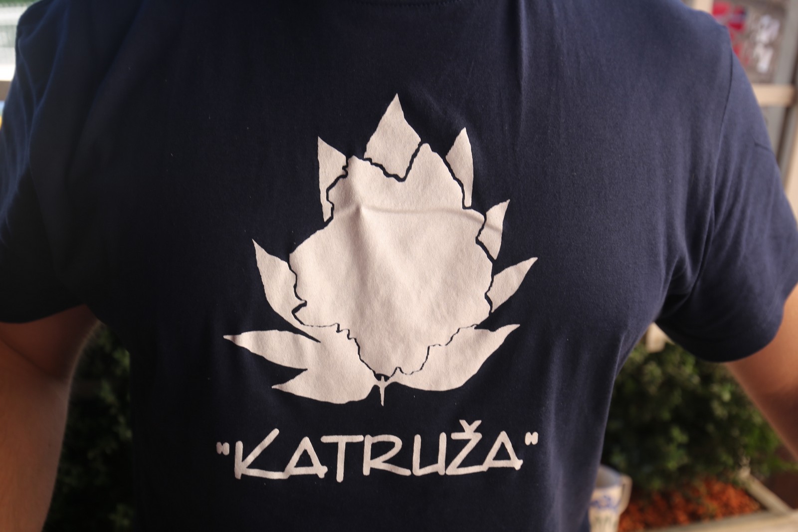 ‘Radio gorice za Katružu’: Tradicionalna humana berba po međimurskim bregima