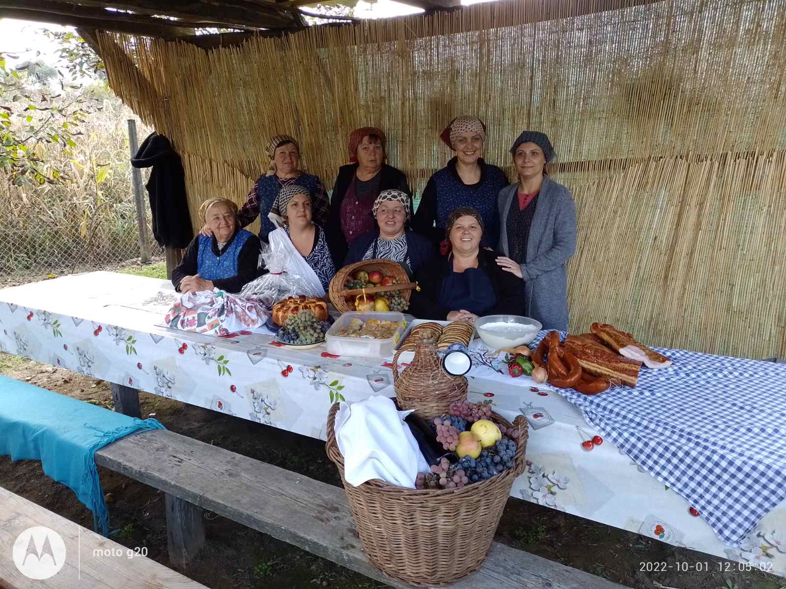 Branje kukuruza u Domašincu