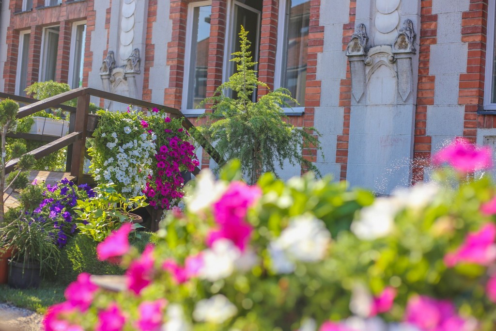 Cvjetne inovacije i ručno izrađeni predmeti ponovno krase centar Čakovca