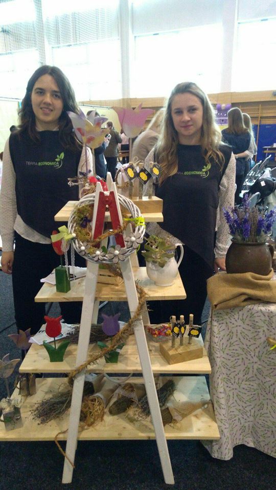 3053082018595799974501645162948