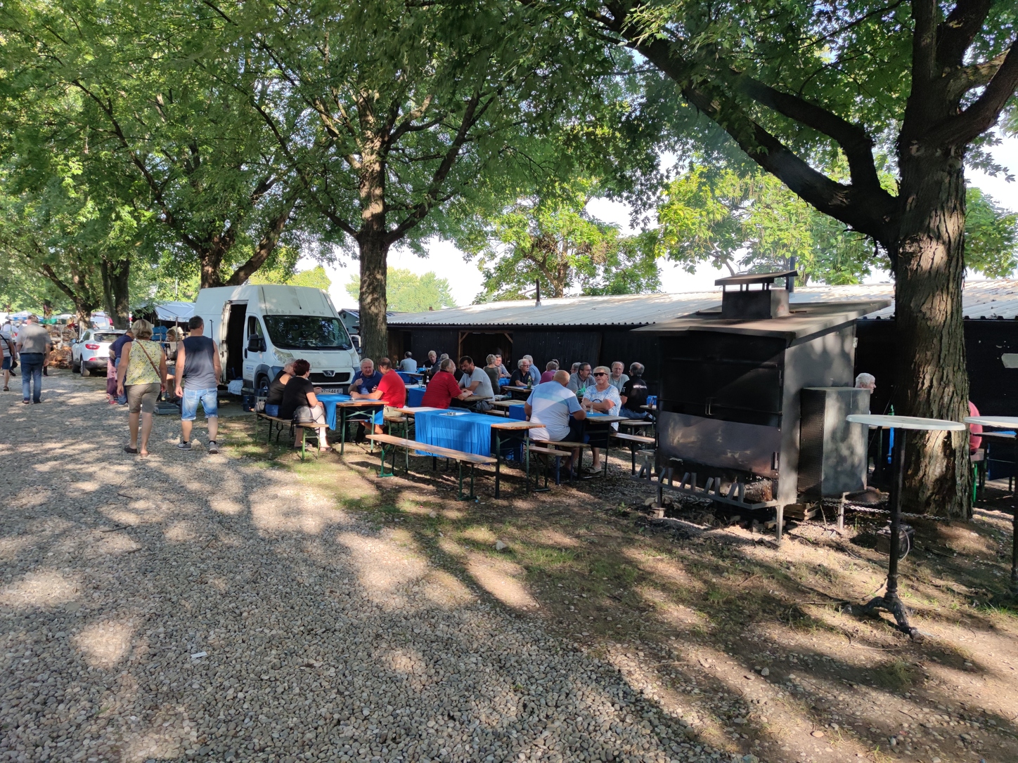 Image 5810831 (auto)