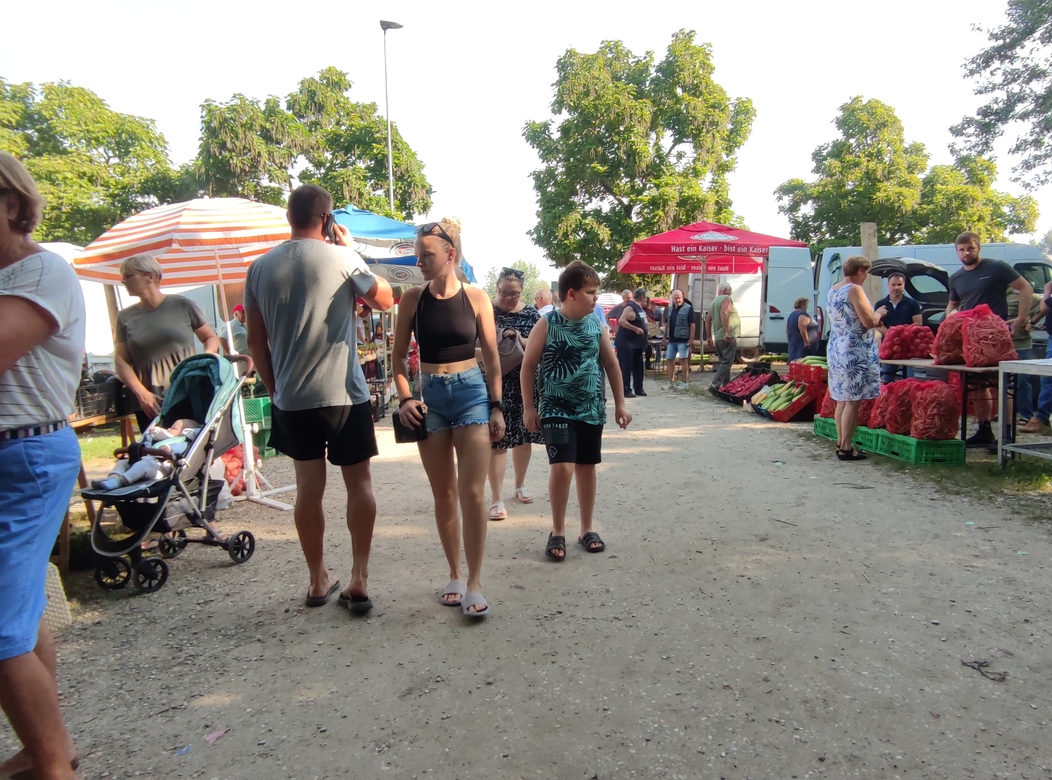 Image 5810815 (auto)