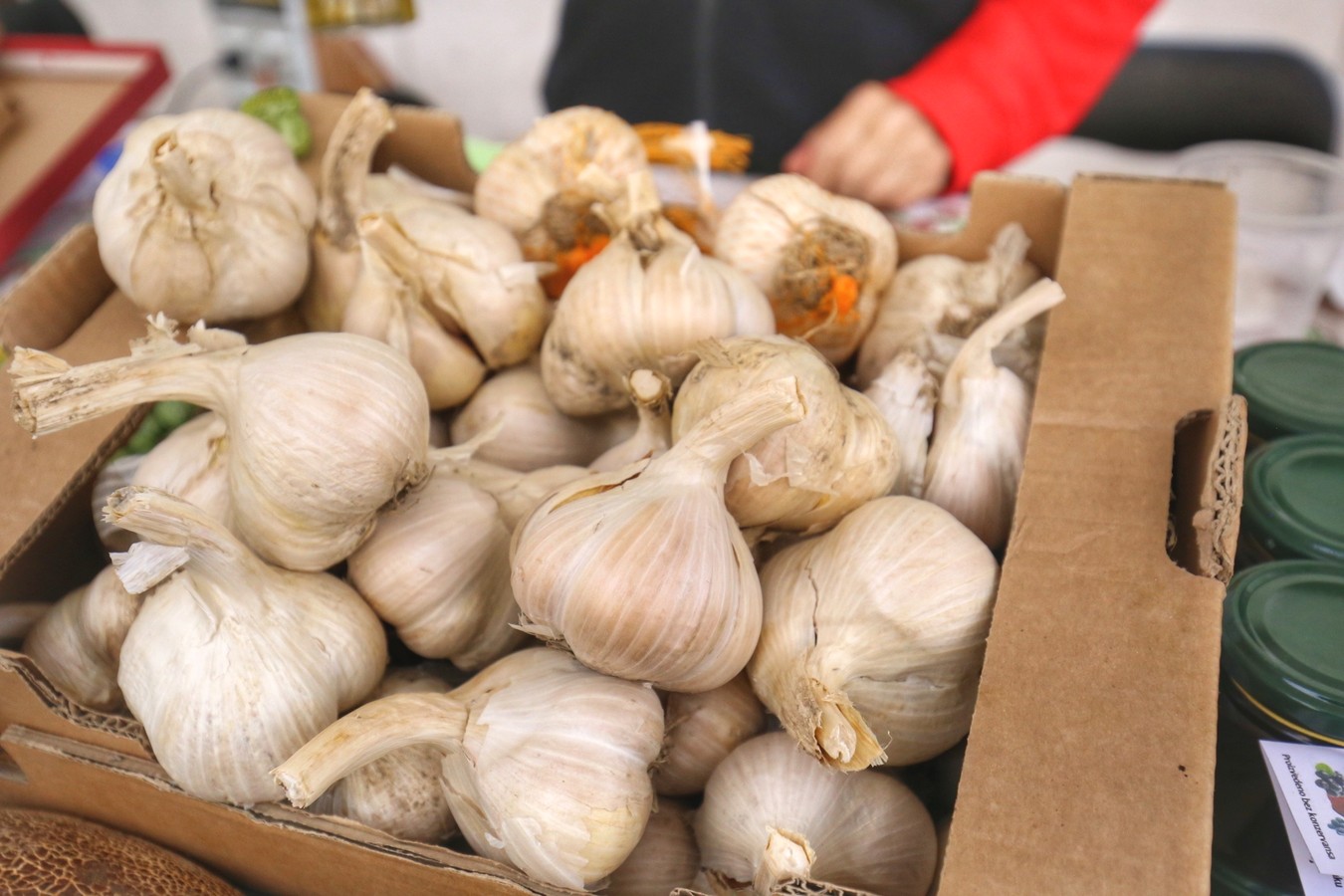 JESEN U GRADU ZRINSKIH Čakovec ‘obukao’ predivno jesensko ruho