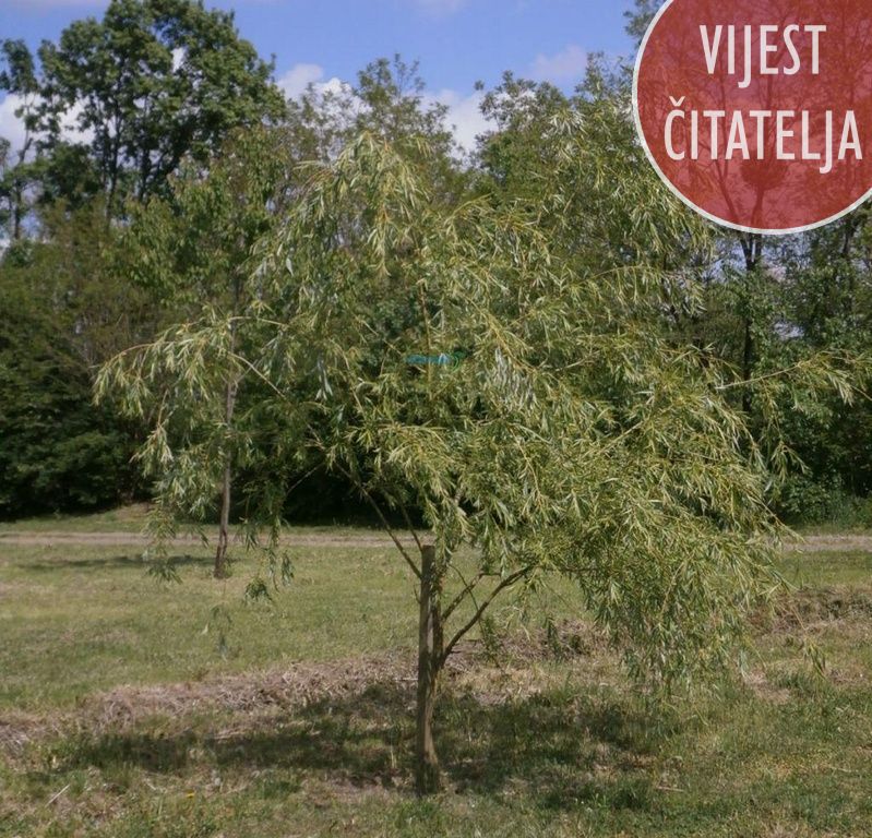 udrugavrbajurcevec7150440