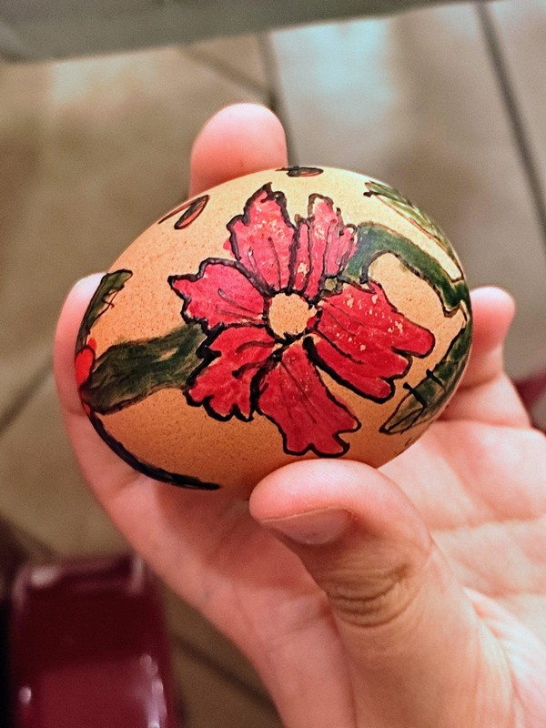 Črna pisanica Biserke Vučenik predstavljena u Zagrebu