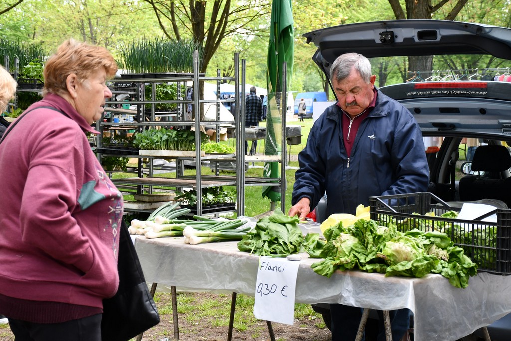 ČAKOVEČKI SAJAM SRIJEDOM Najveći interes i dalje vlada za presadnice