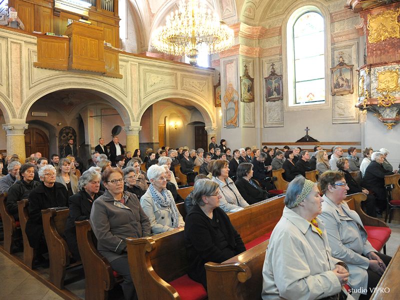 349215166dsc0334334854