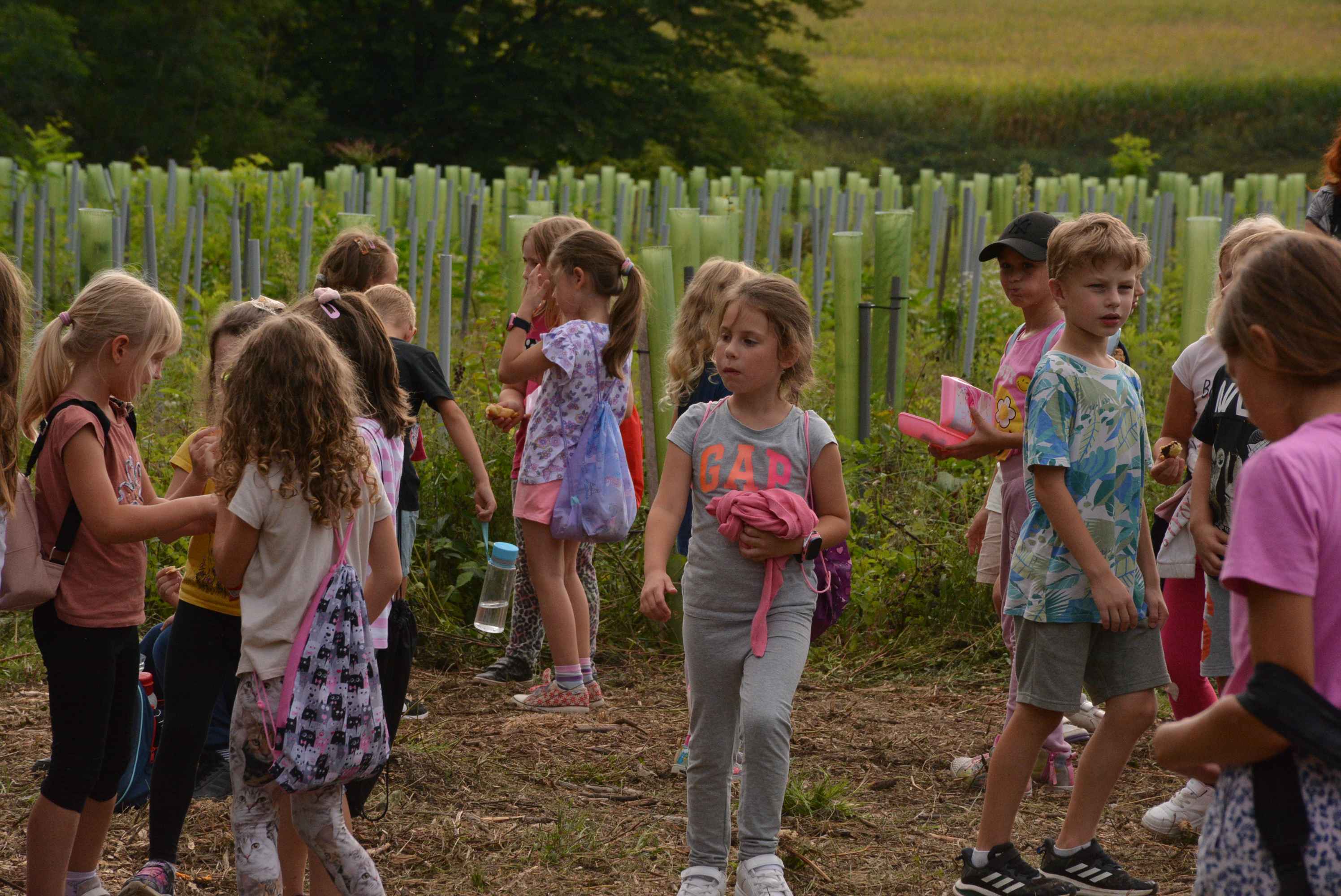 KNEZOVEC Održana velika akcija pošumljavanja u ogranizaciji tvrtke Sobočan