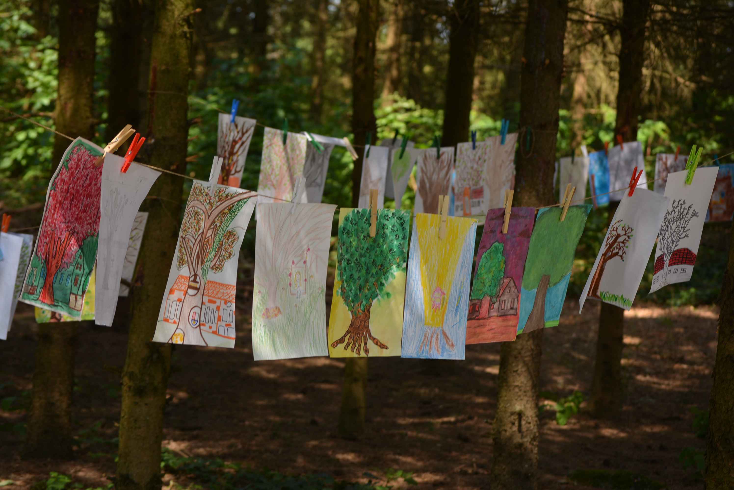 FOTO I VIDEO Predivna umjetnička idila na Art forestu u Nedelišću