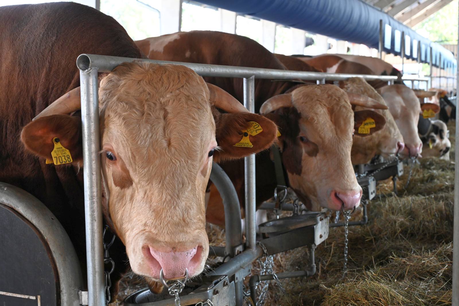 agra 2024 (12) agra 2024 (12)