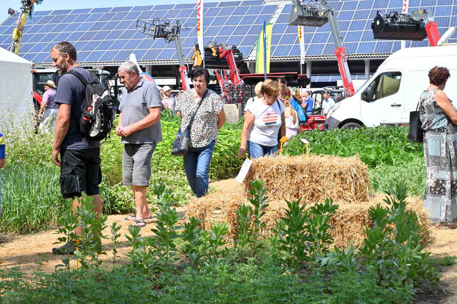 agra 2024 (21) agra 2024 (21)